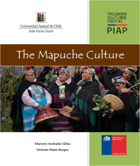 mapuche culture